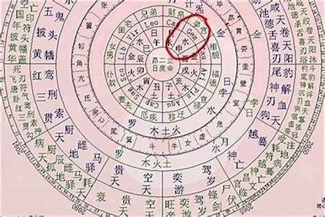 八字命主意思|八字中的命主是什么意思 命主是啥意思